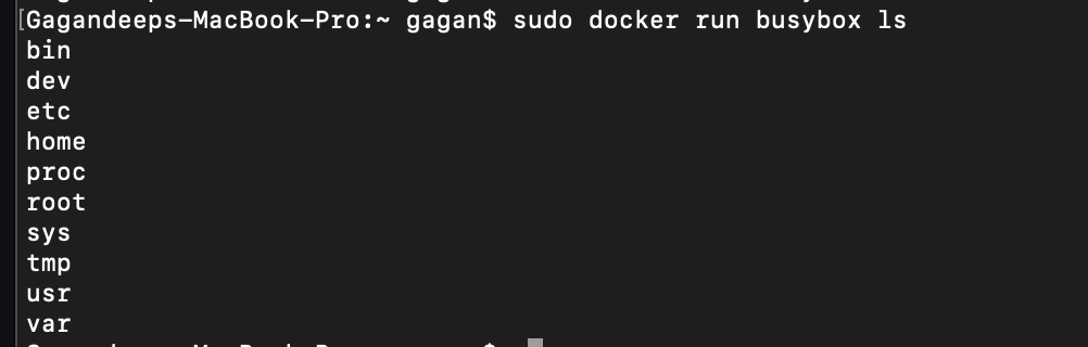 docker run busybox ls